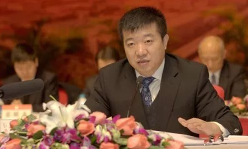 张雅林：形成高效协同制造体系 更加精准突破瓶颈
