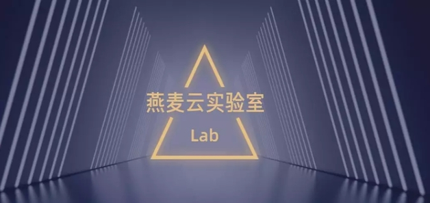 燕麦云实验室与北京大学达成合作，共同开发拟态分布式存储系统云版本